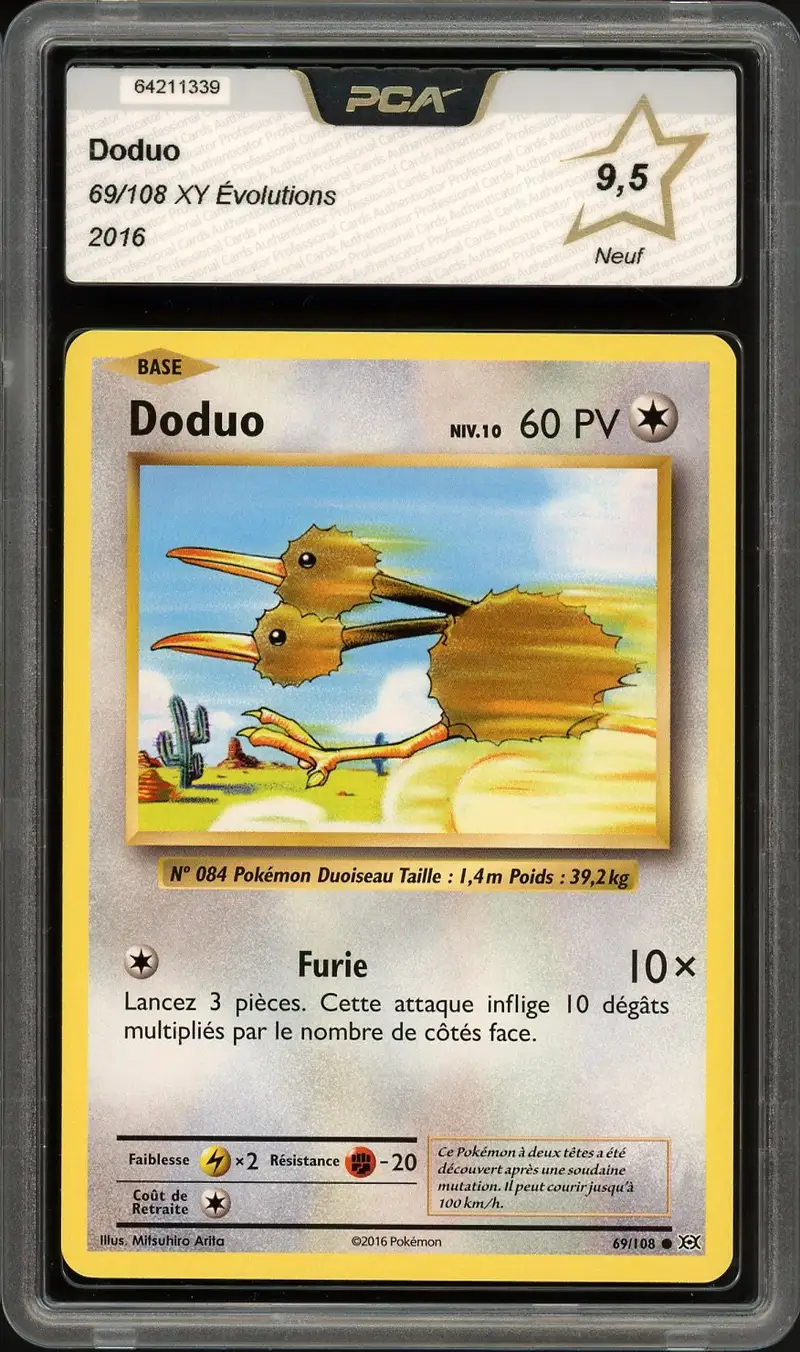 PCA 9.5 Doduo