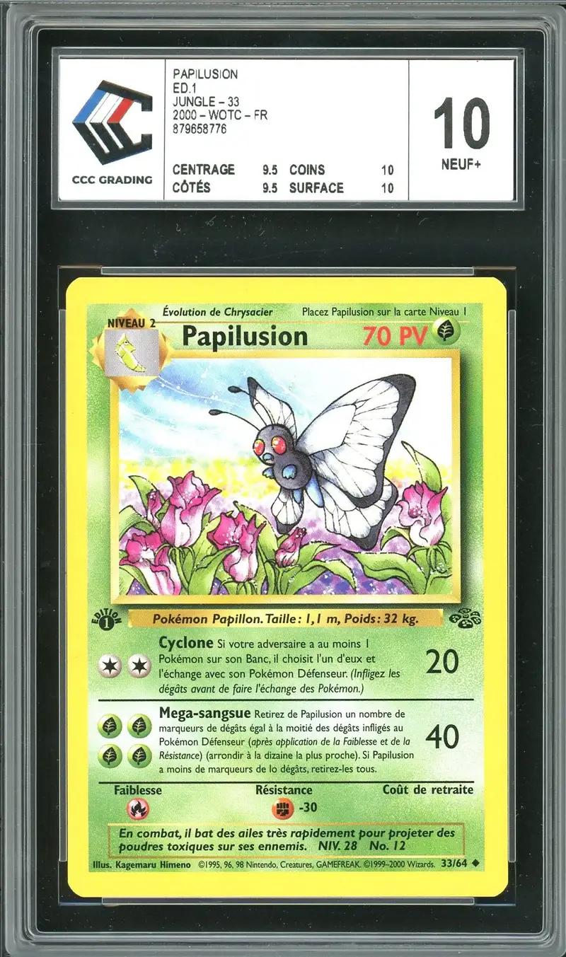 CCC 10 Papilusion