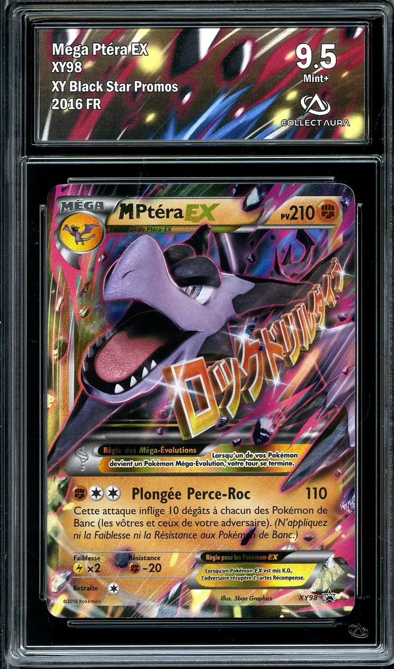 CA 9.5 Méga Ptéra Ex