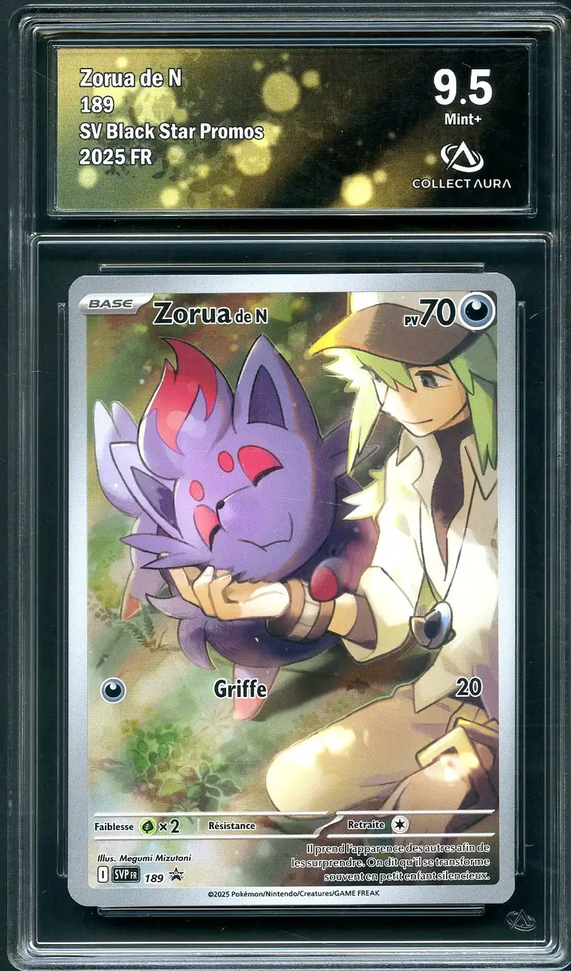 CA 9.5 Zorua de N