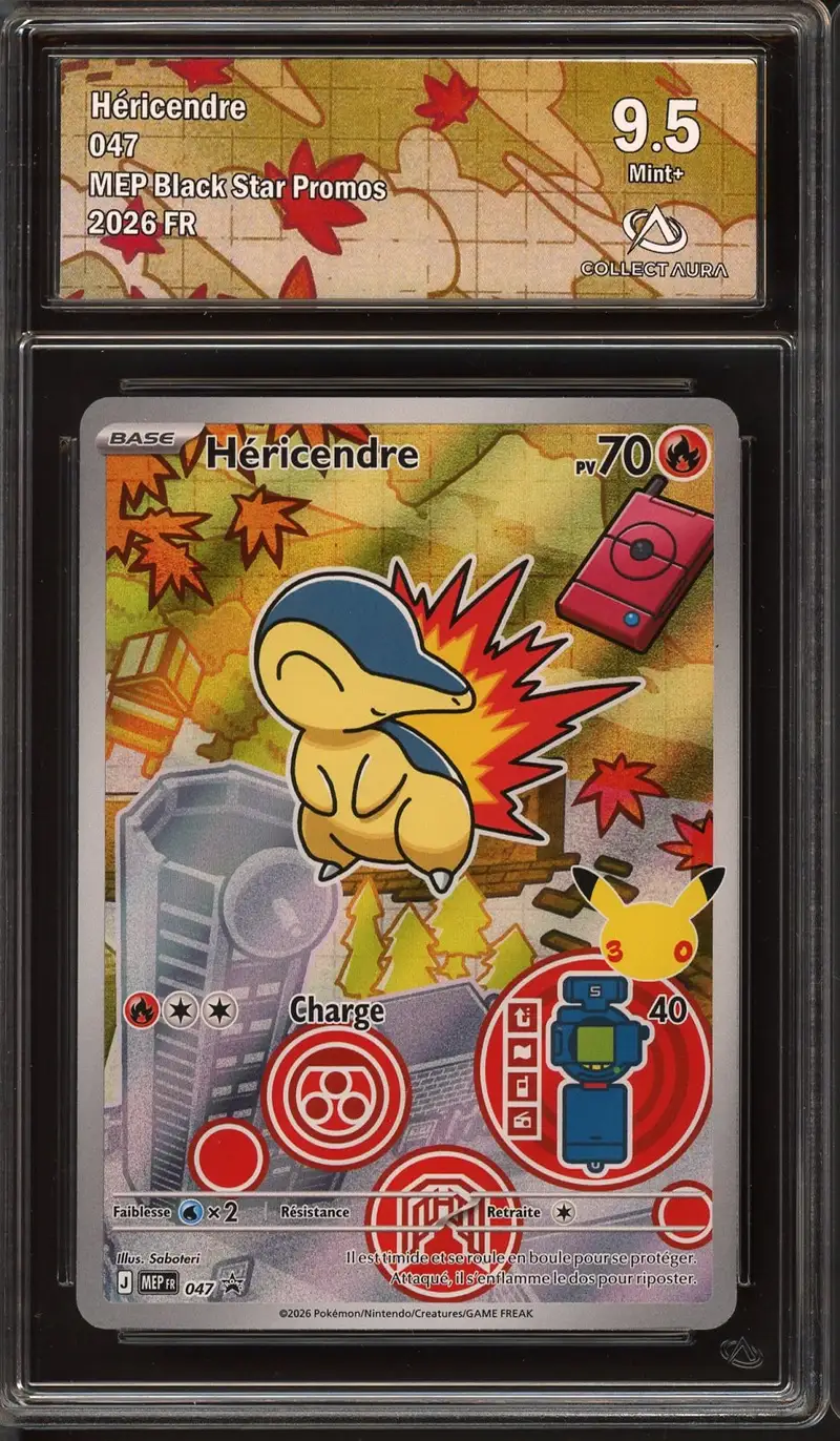 CA 9.5 Héricendre
