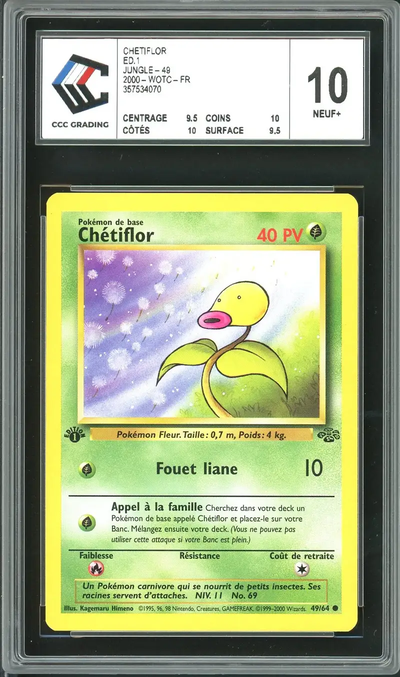 CCC 10 Chétiflor