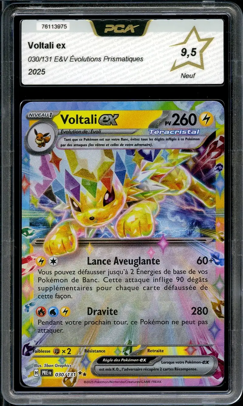 PCA 9.5 Voltali Ex
