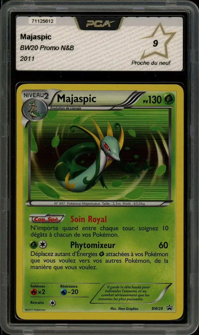 PCA 9 Majaspic Holo