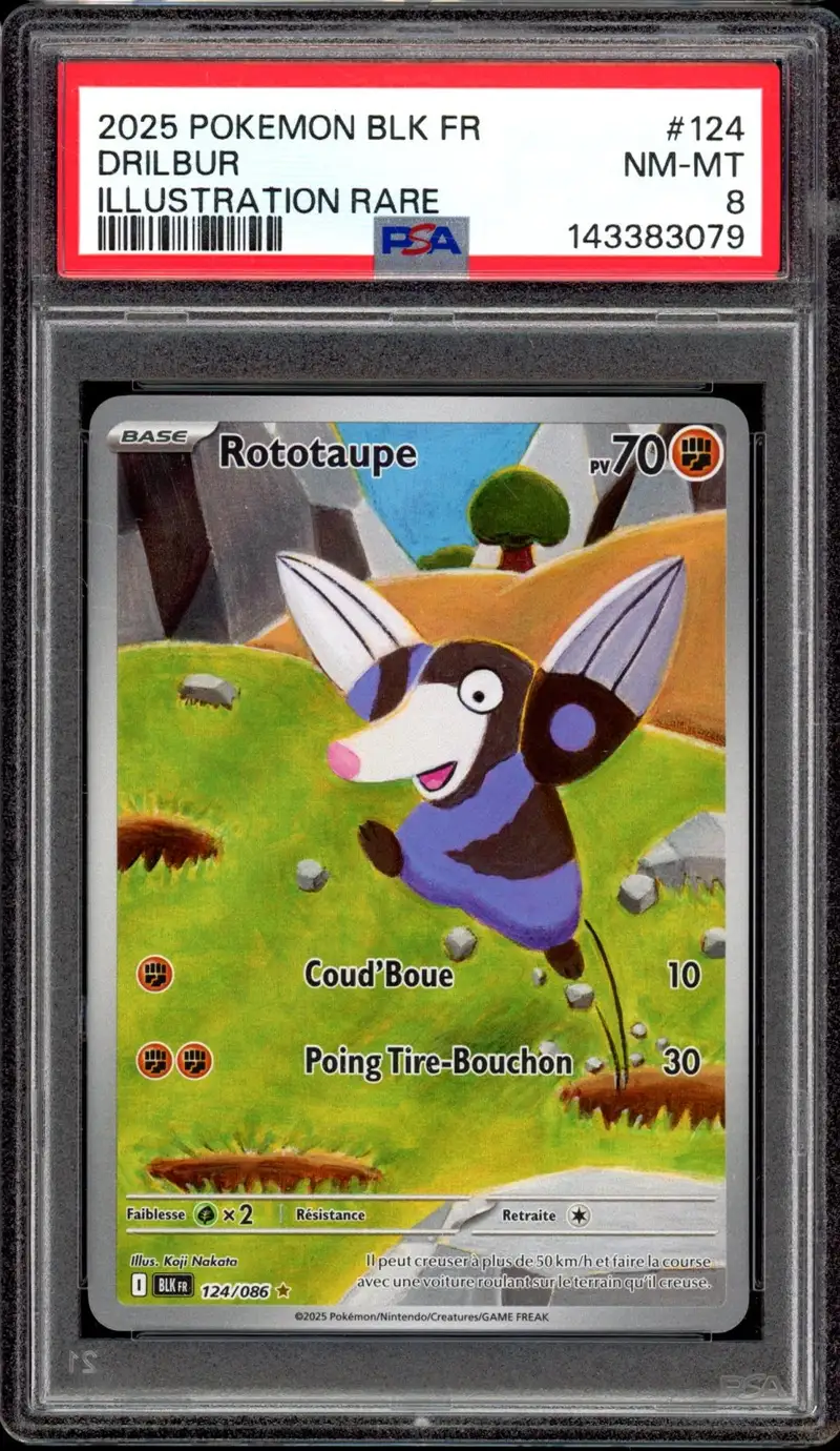 PSA 8 Rototaupe