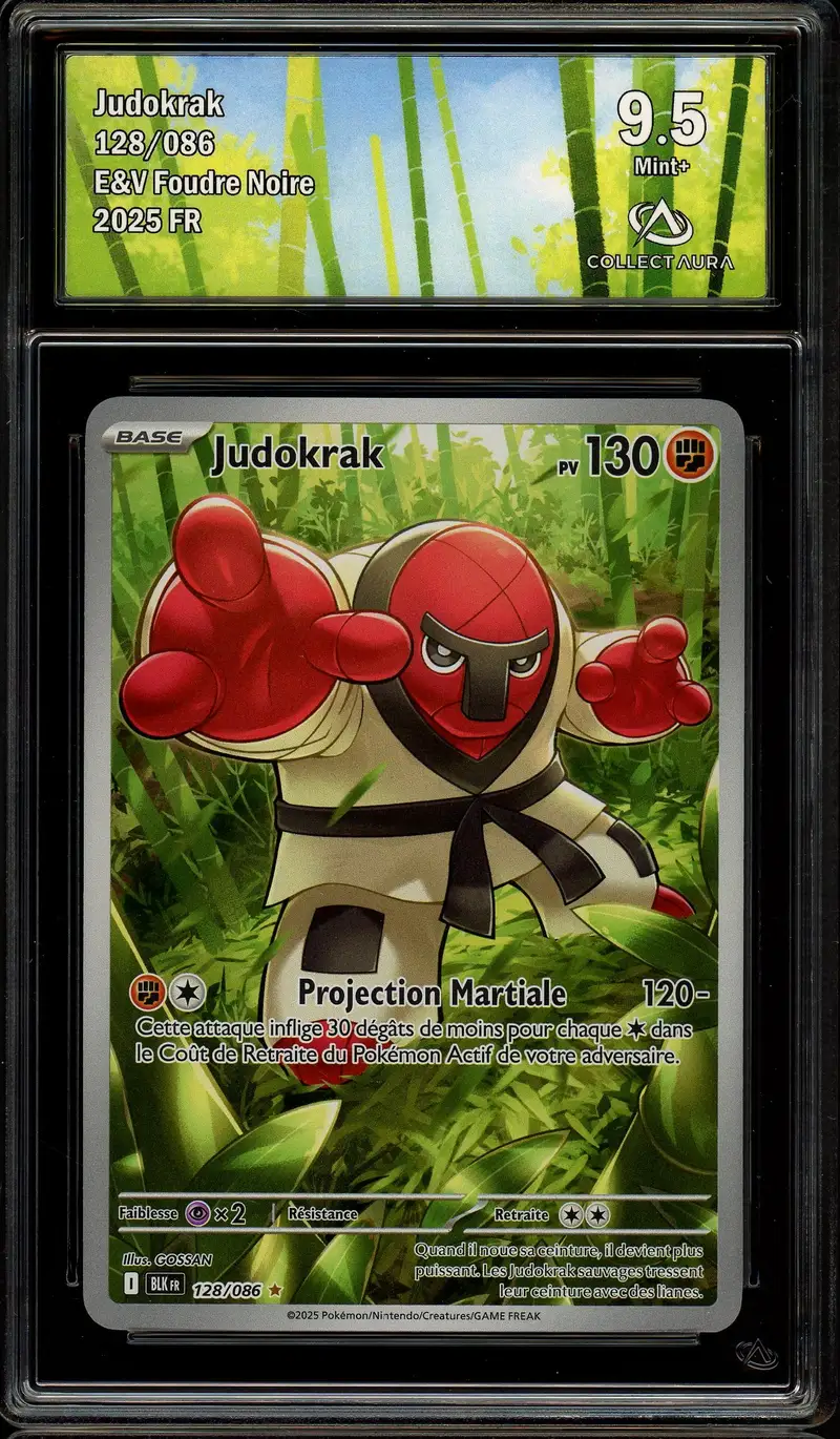 CA 9.5 Judokrak