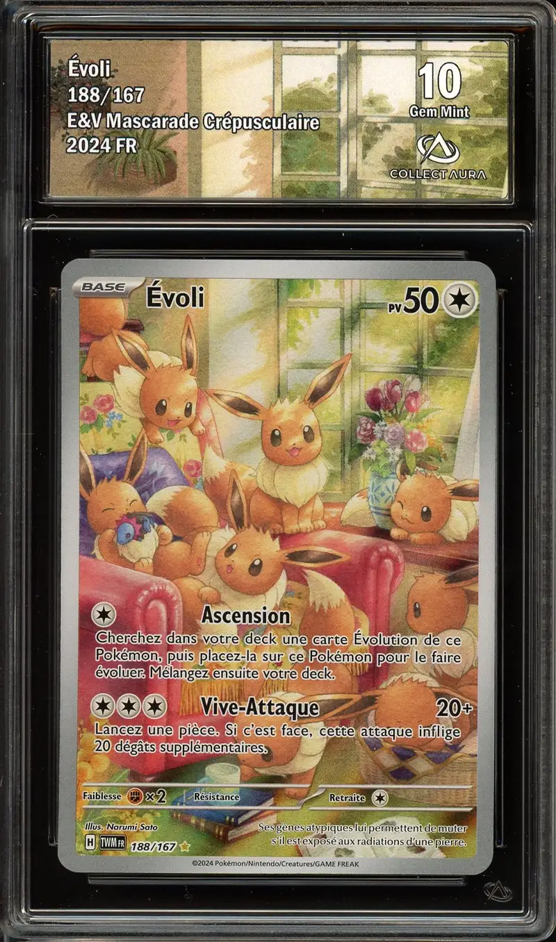 CA 10 Evoli