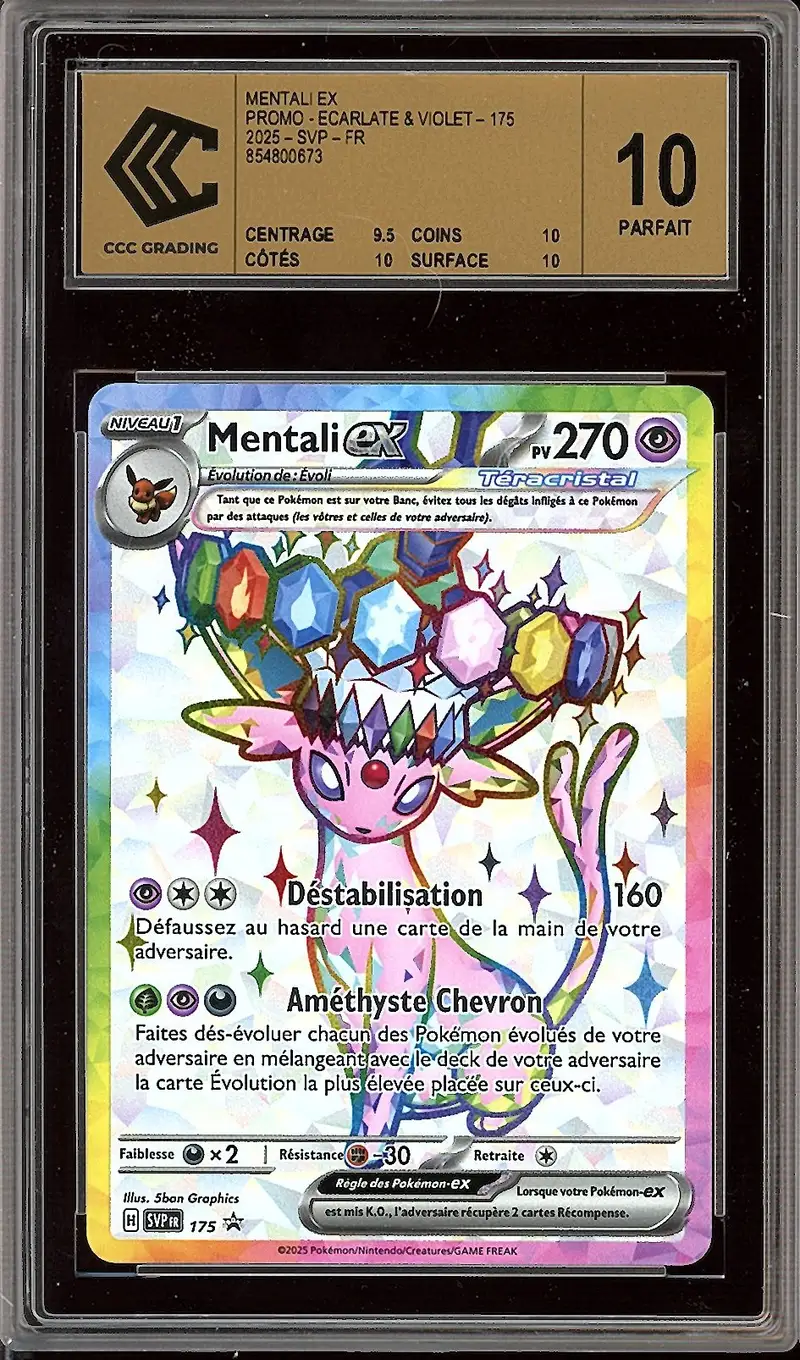 CCC 10 Mentali Ex