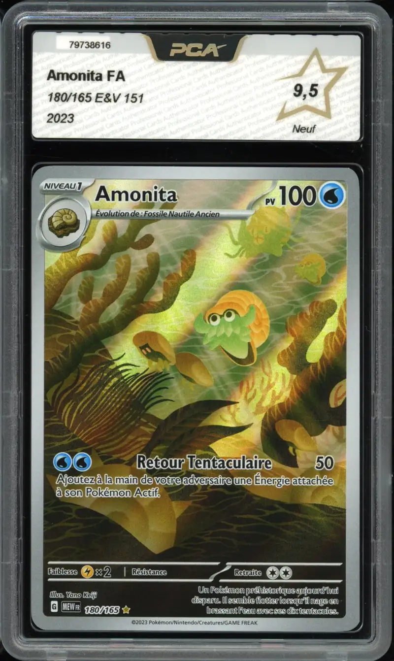 PCA 9.5 Amonita