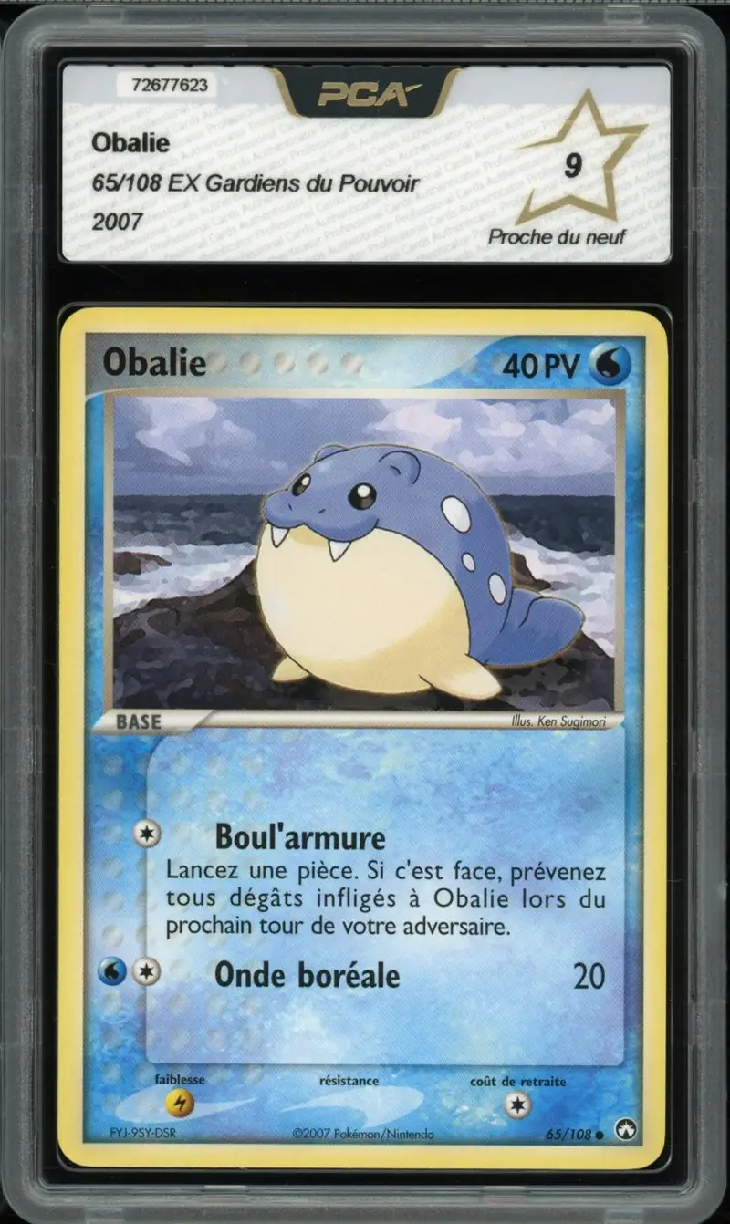 PCA 9 Obalie