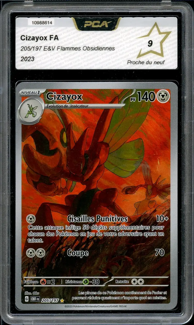 PCA 9 Cizayox