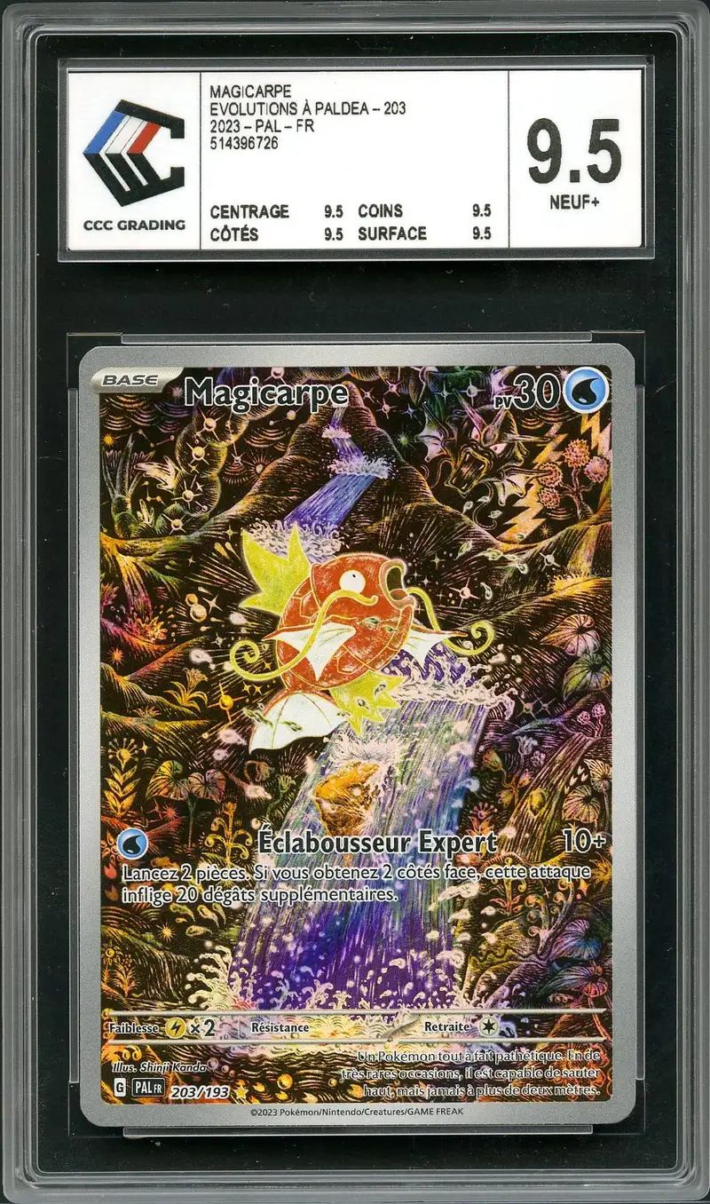 CCC 9.5 Magicarpe