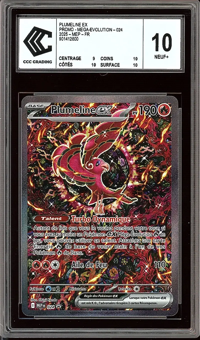 CCC 10 Plumeline Ex