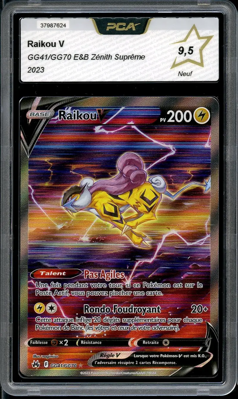PCA 9.5 Raikou V