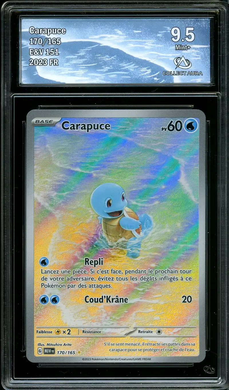 CA 9.5 Carapuce