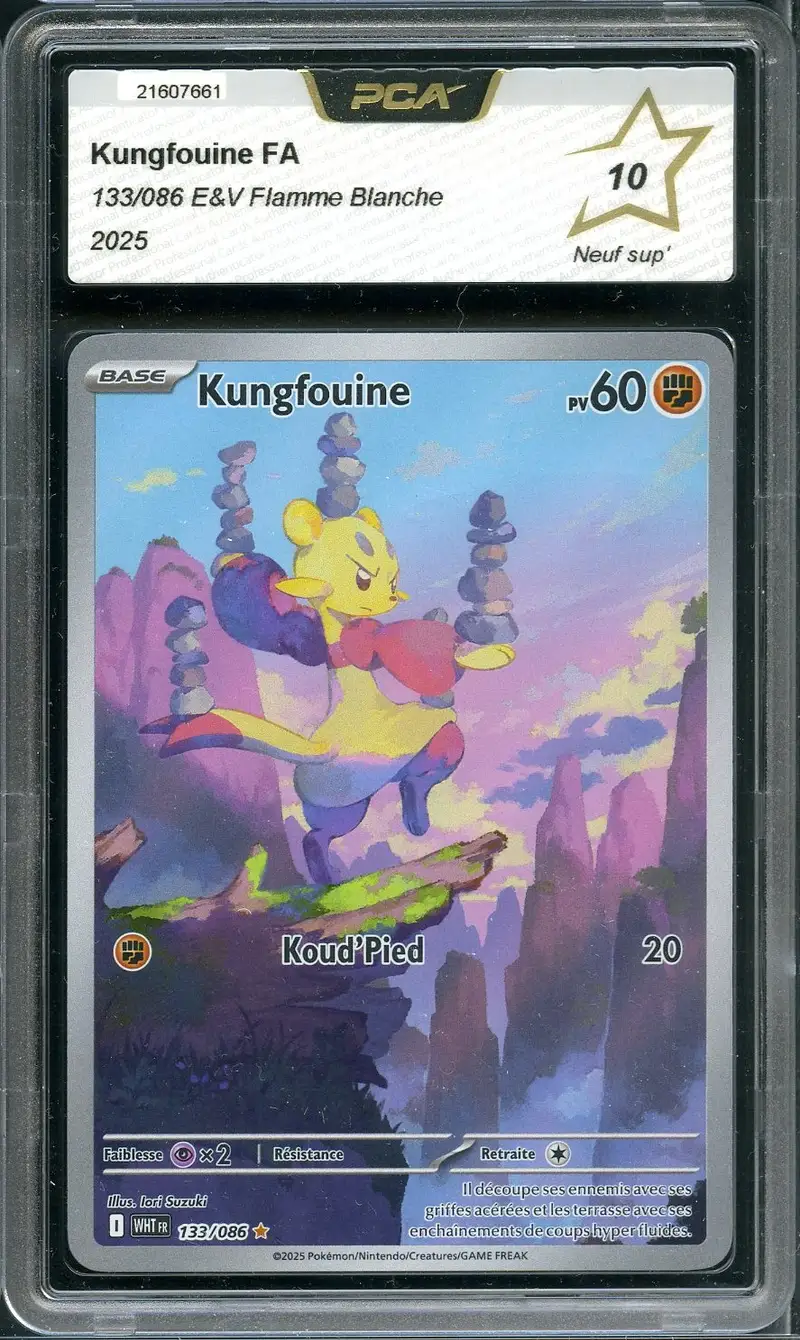 PCA 10 Kungfouine