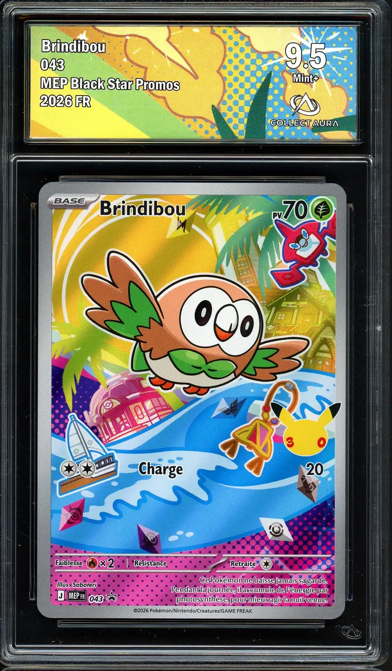 CA 9.5 Brindibou