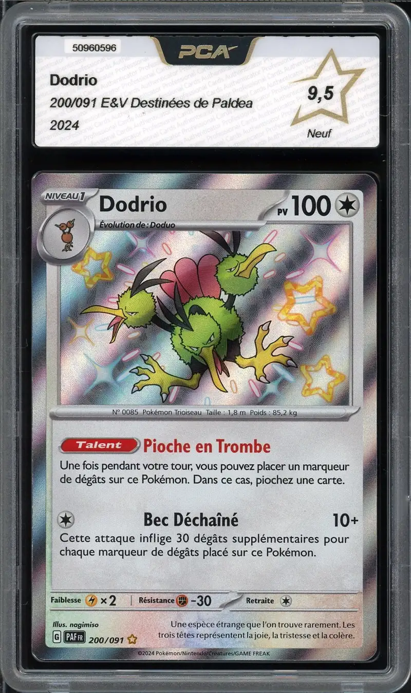 PCA 9.5 Dodrio Shiny