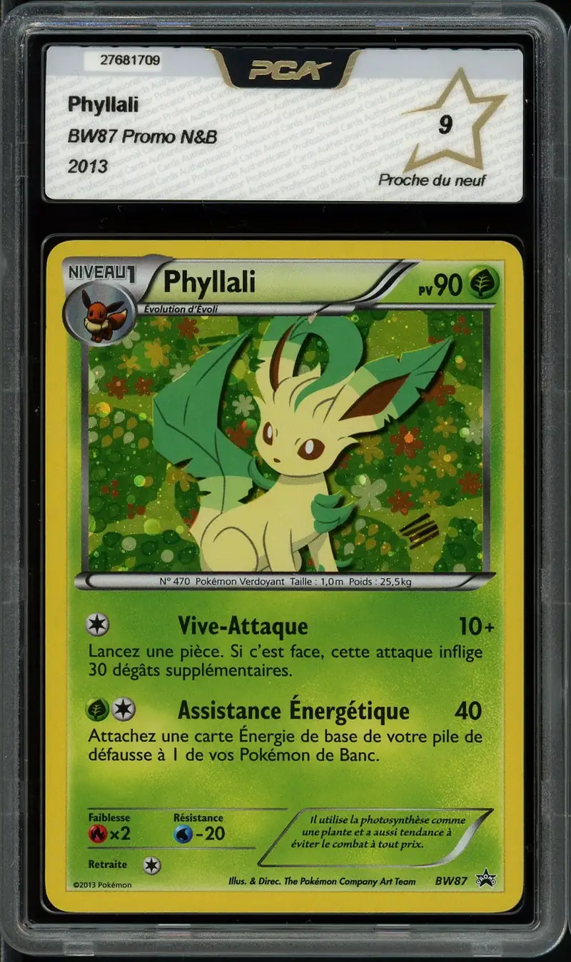 PCA 9 Phyllali Holo