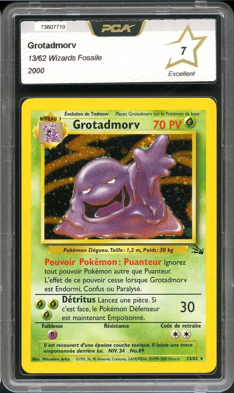 PCA 7 Grotadmorv Holo
