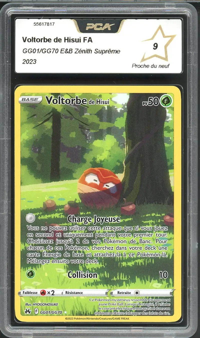 PCA 9 Voltorbe de Hisui
