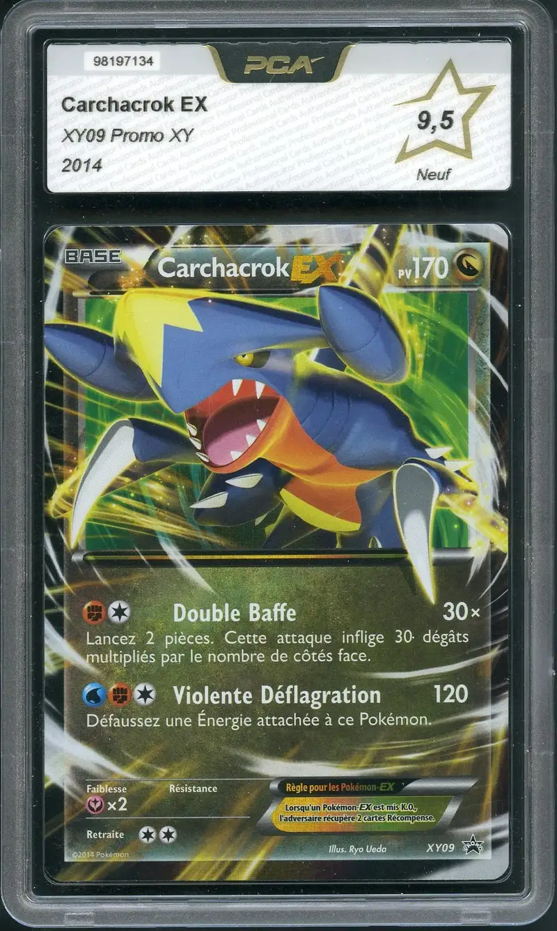 PCA 9.5 Carchacrok Ex