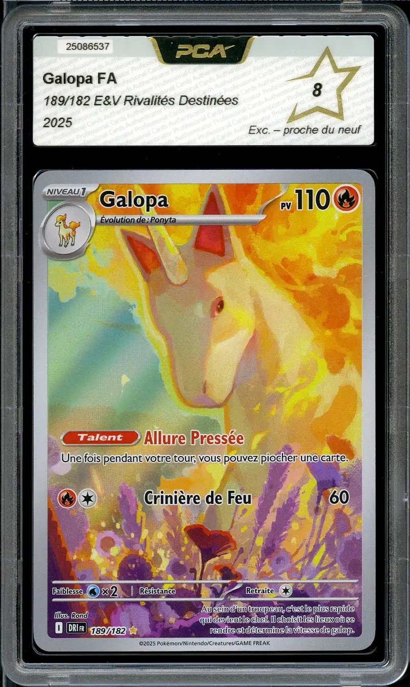 PCA 8 Galopa