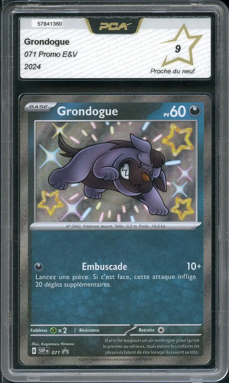 PCA 9 Grondogue Shiny