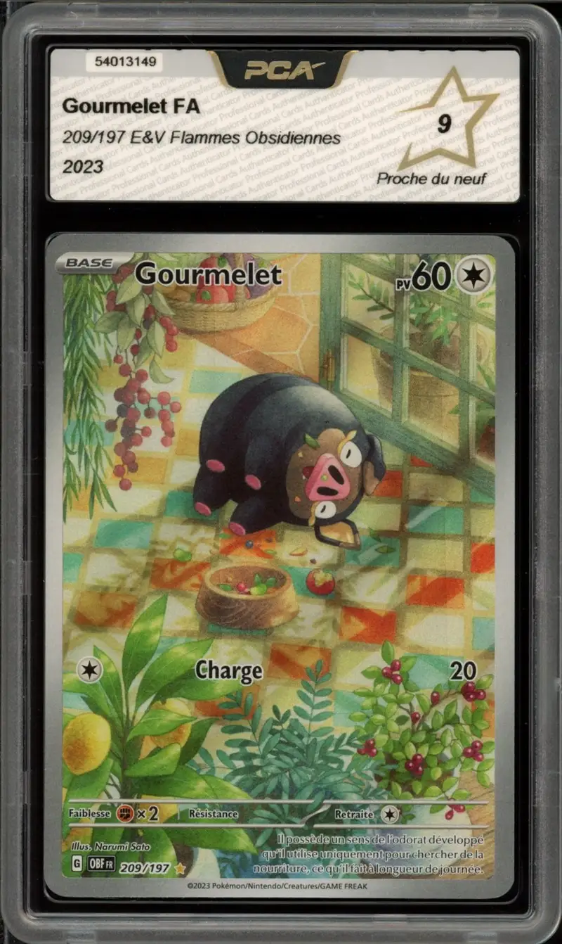 PCA 9 Gourmelet