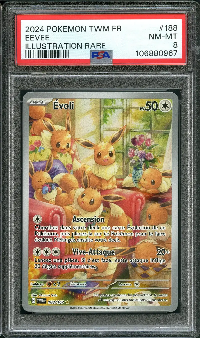 PSA 8 Evoli