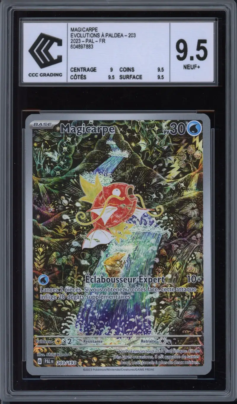 CCC 9.5 Magicarpe