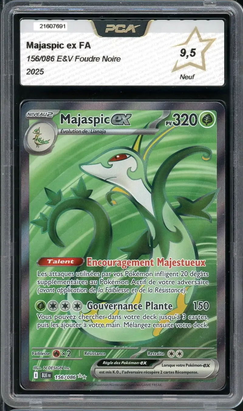 PCA 9.5 Majaspic Ex