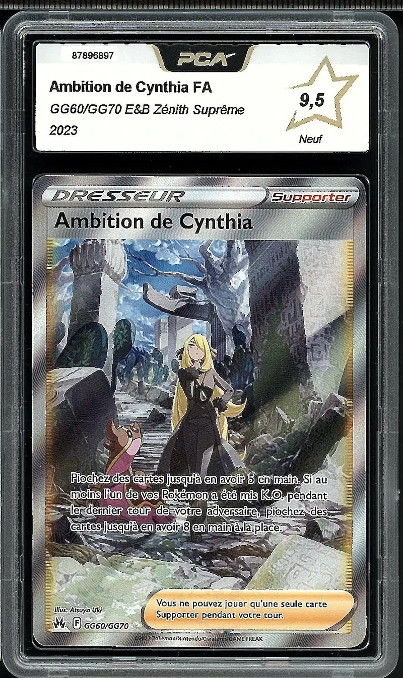 PCA 9.5 Ambition de Cynthia