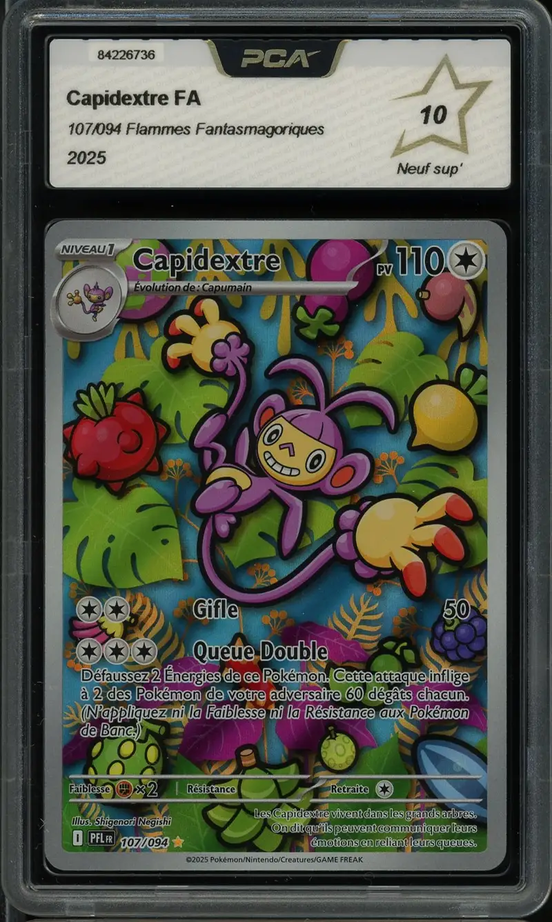 PCA 10 Capidextre