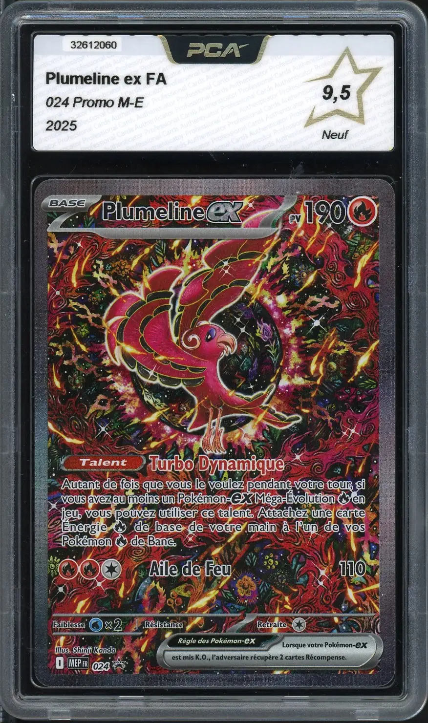 PCA 9.5 Plumeline Ex