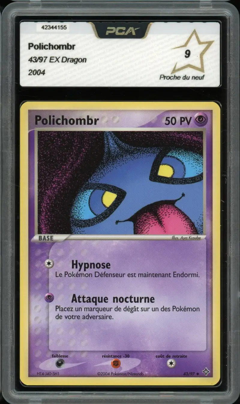 PCA 9 Polichombr