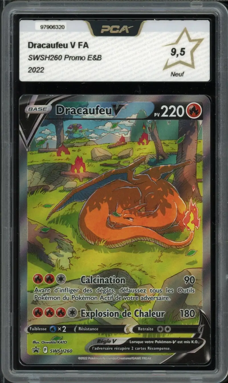 PCA 9.5 Dracaufeu V