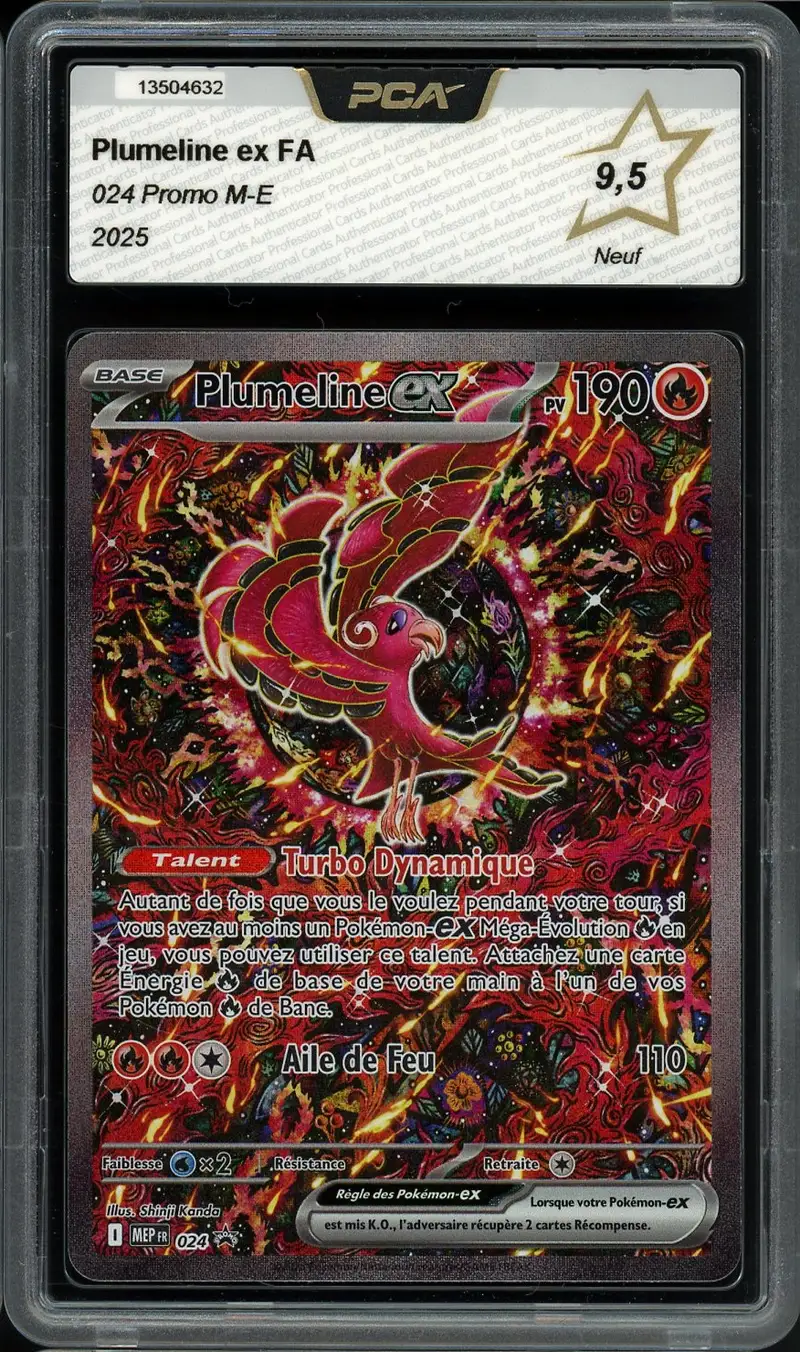 PCA 9.5 Plumeline Ex