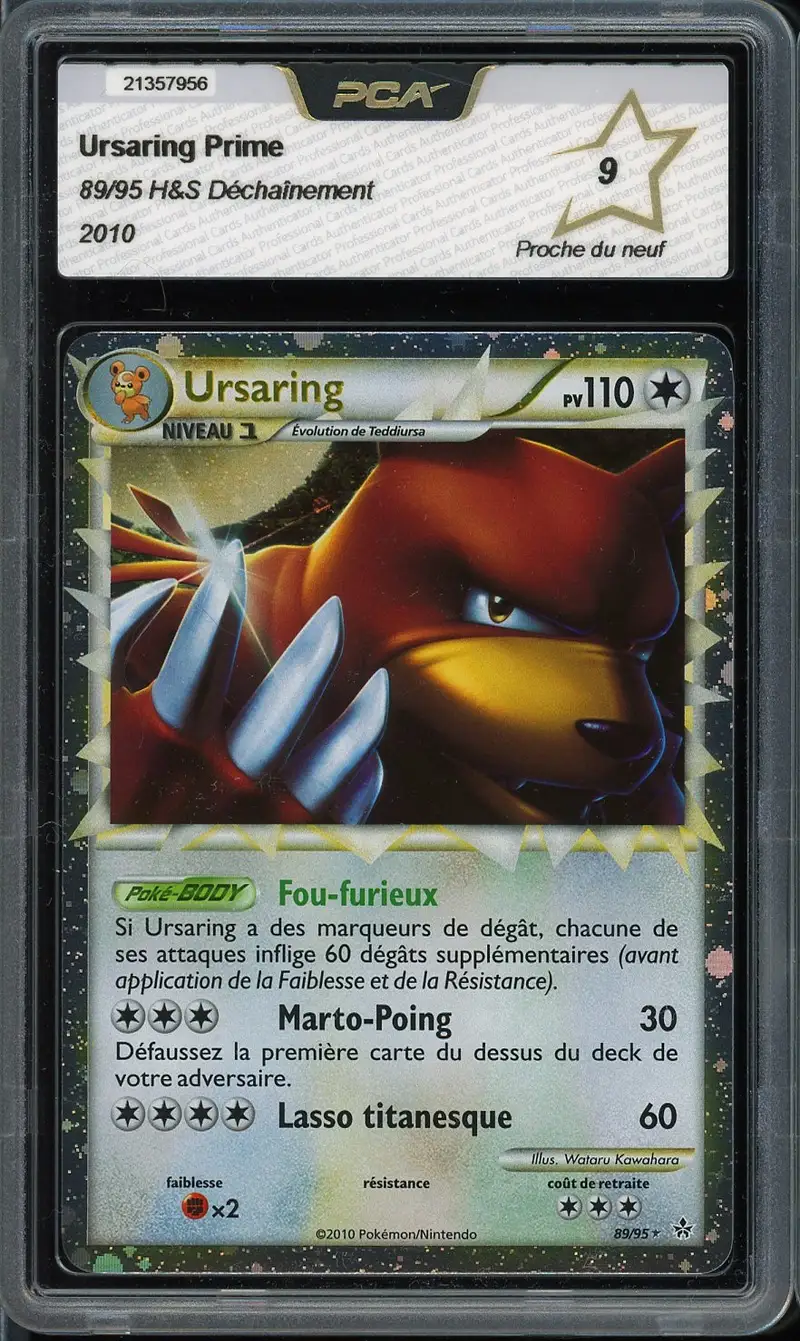 PCA 9 Ursaring Prime