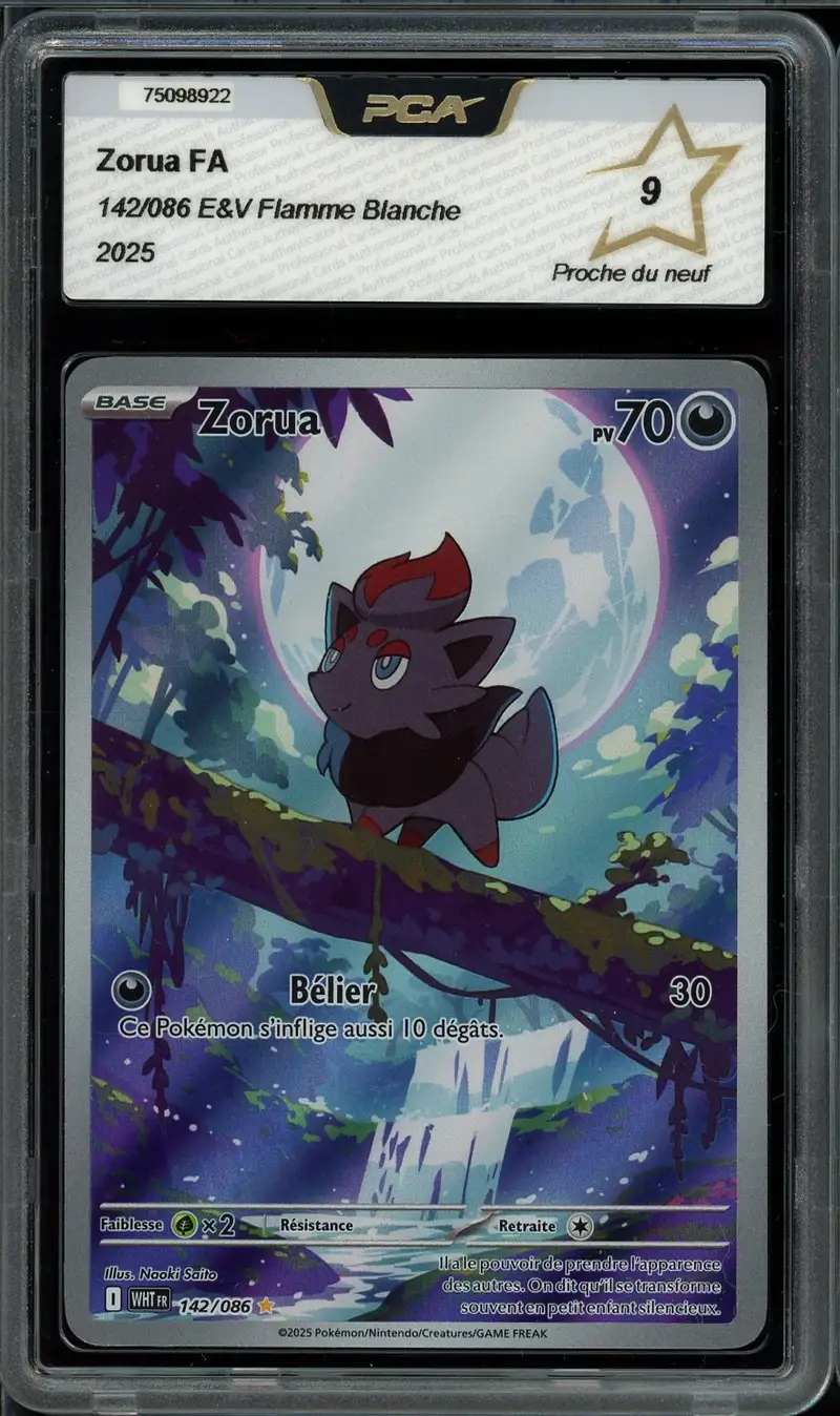 PCA 9 Zorua
