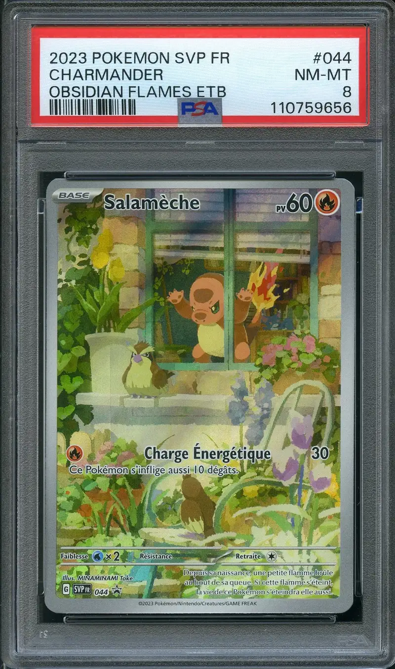 PSA 8 Salamèche