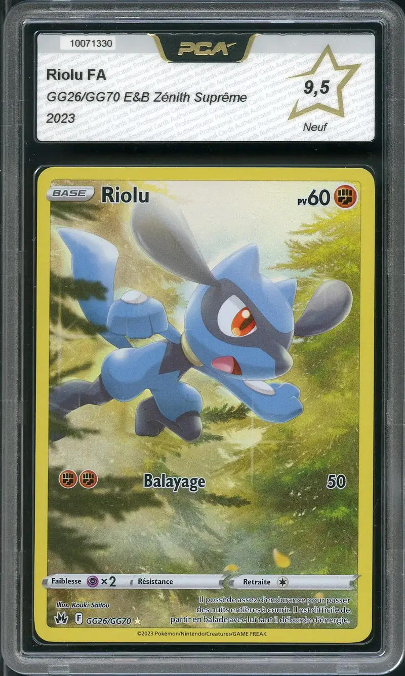 PCA 9.5 Riolu