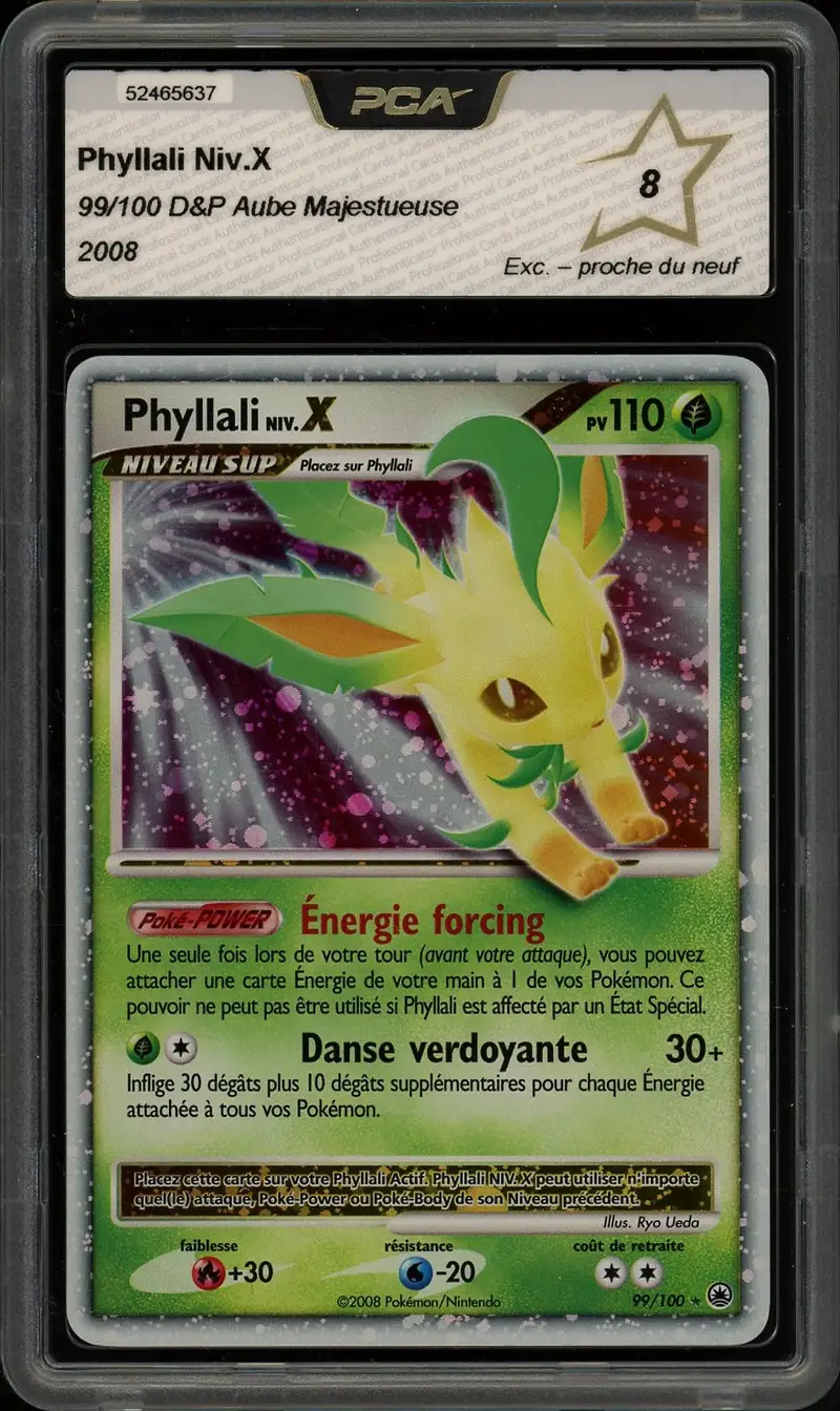 PCA 8 Phyllali Niv. X