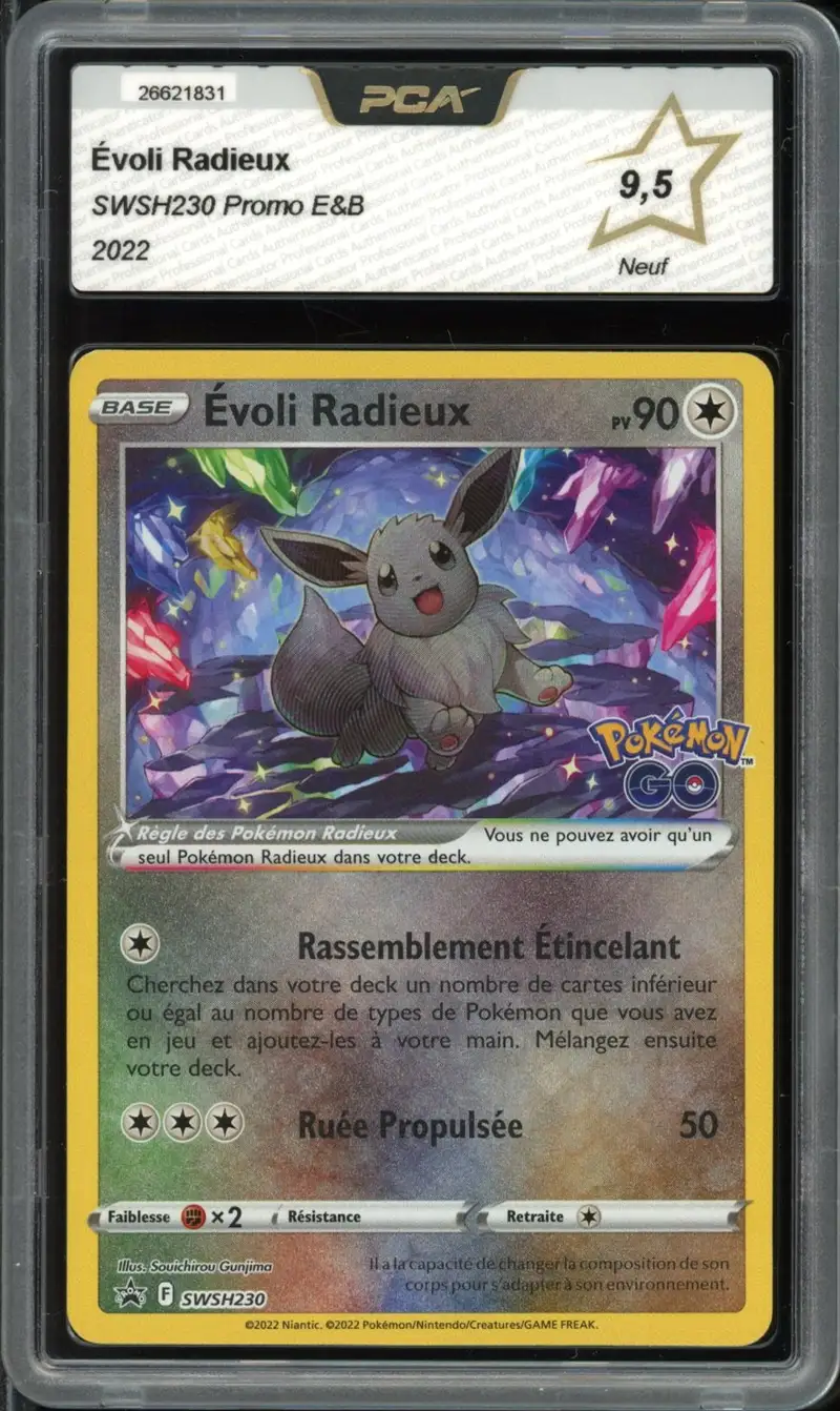 PCA 9.5 Evoli Radieux