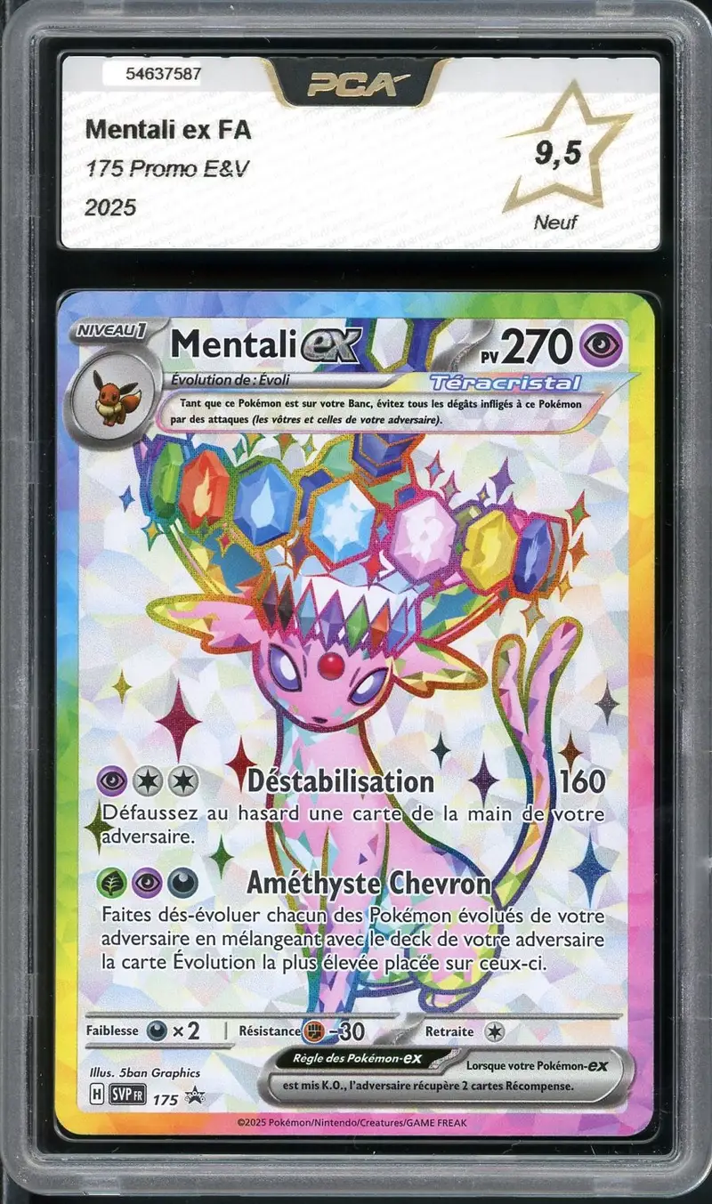 PCA 9.5 Mentali Ex