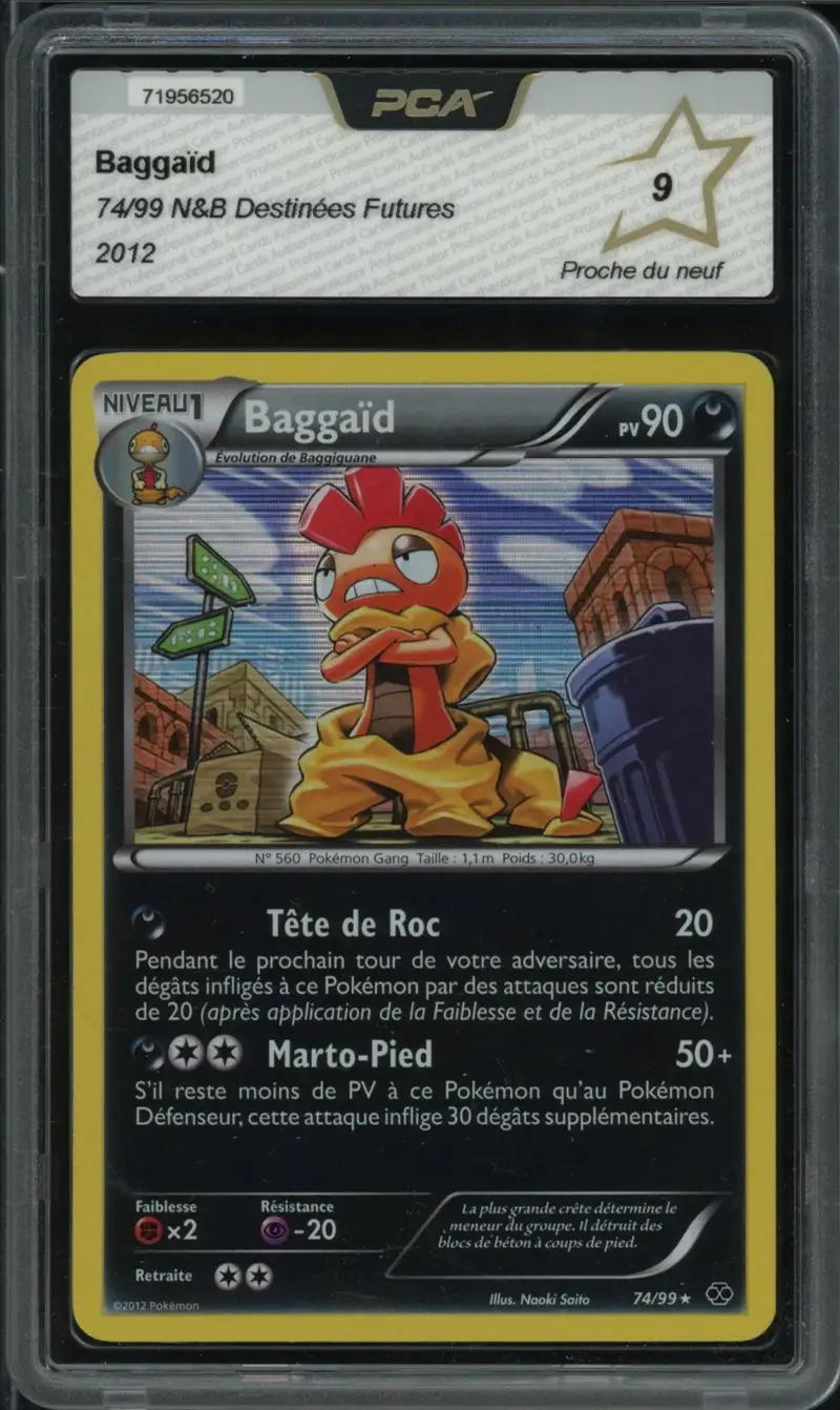PCA 9 Baggaïd Holo