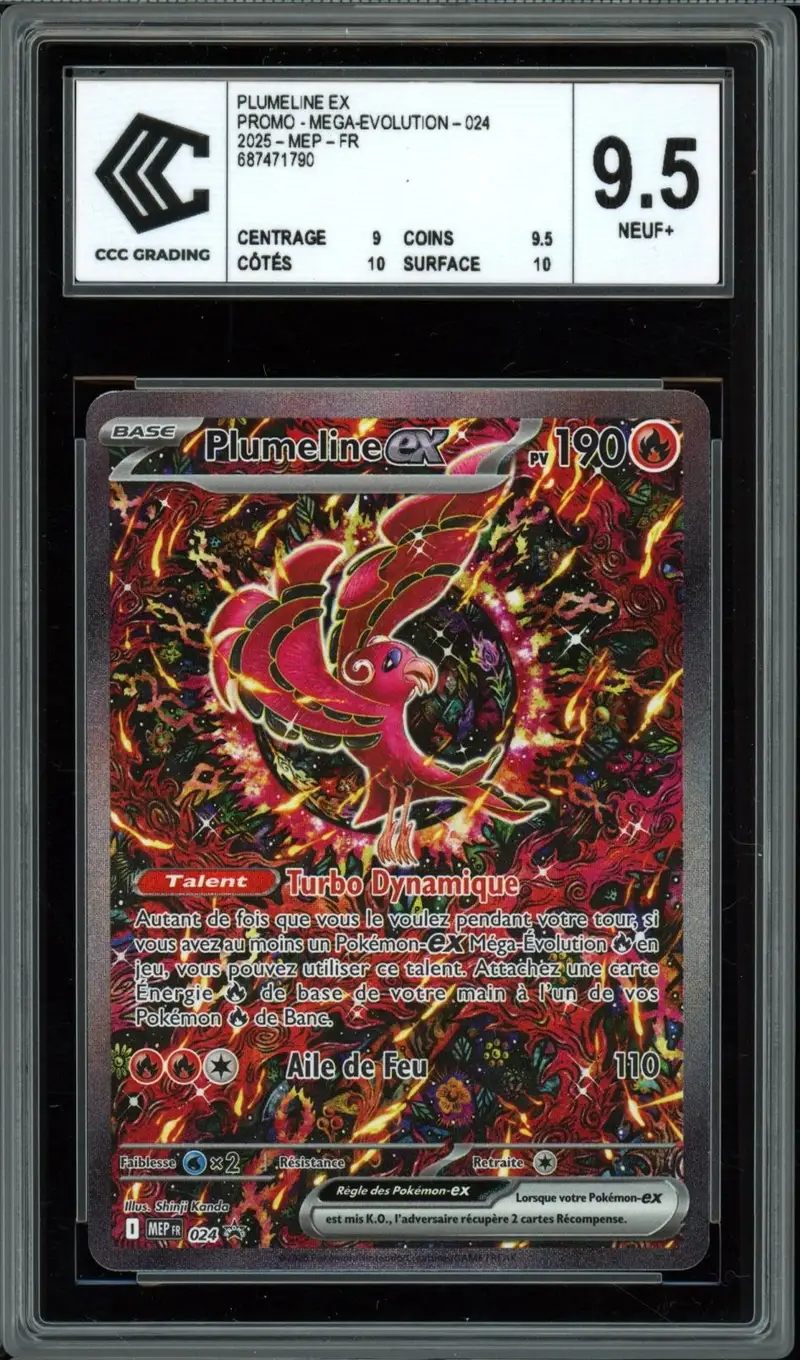 CCC 9.5 Plumeline Ex
