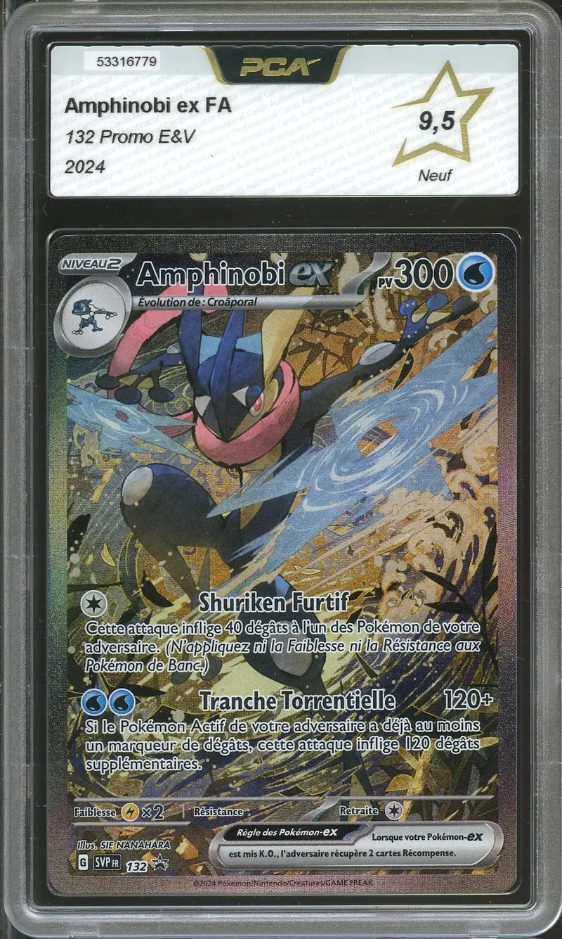 PCA 9.5 Amphinobi Ex
