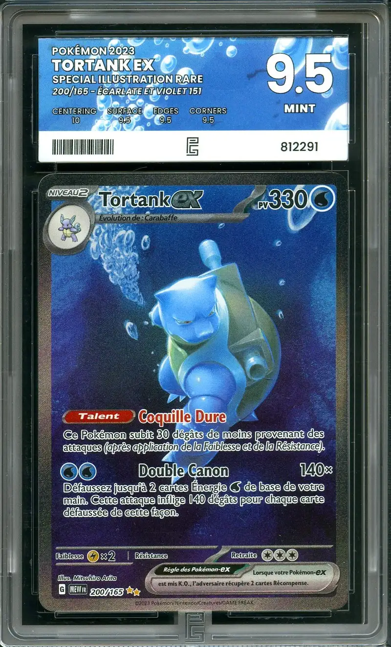 PG 9.5 Tortank Ex