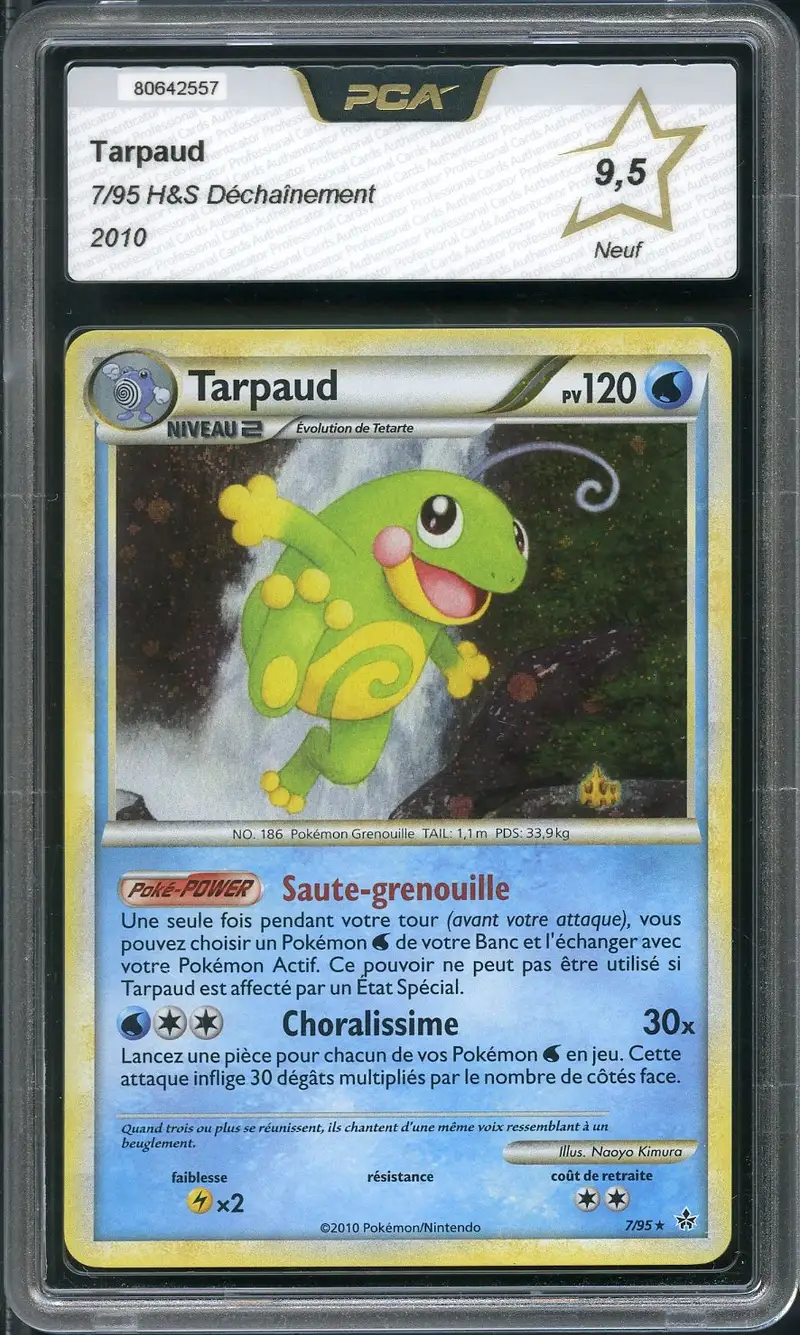 PCA 9.5 Tarpaud Holo